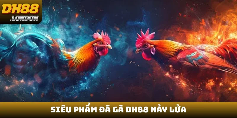 Siêu phẩm đá gà DH88 nảy lửa