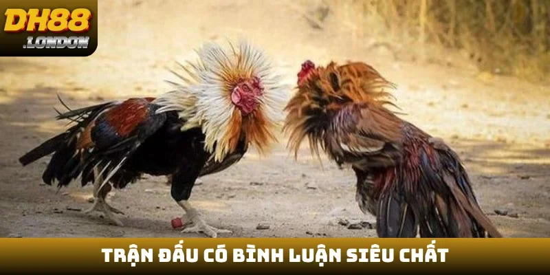 Trận đấu có bình luận siêu chất