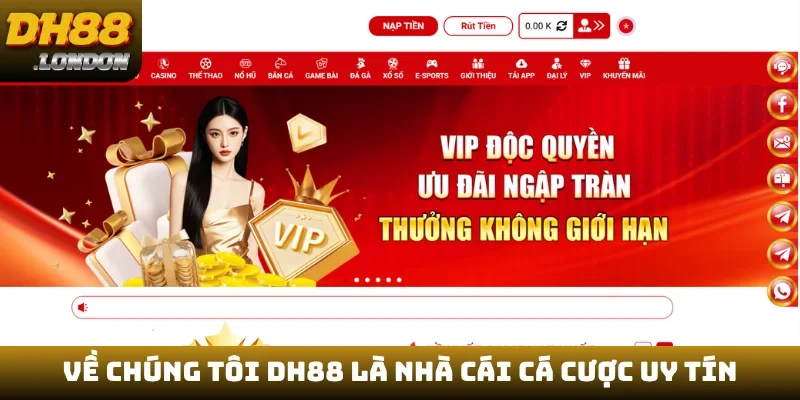 Về chúng tôi DH88 là nhà cái cá cược uy tín